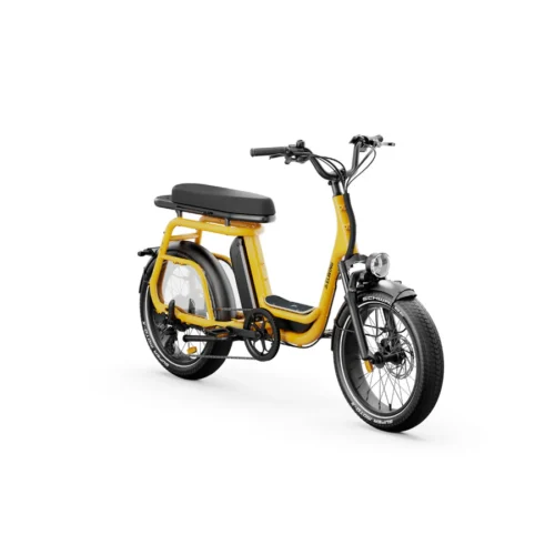 Elwing Ritmic Duo vélo électrique cargo biplace
