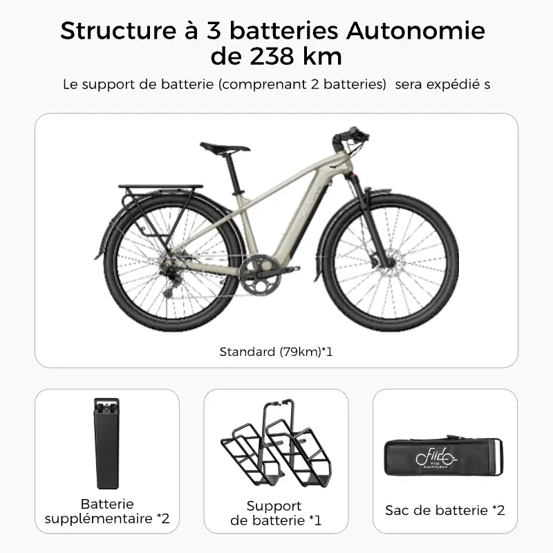 Fiido Nomads Vélo de randonnée électrique – Image 2