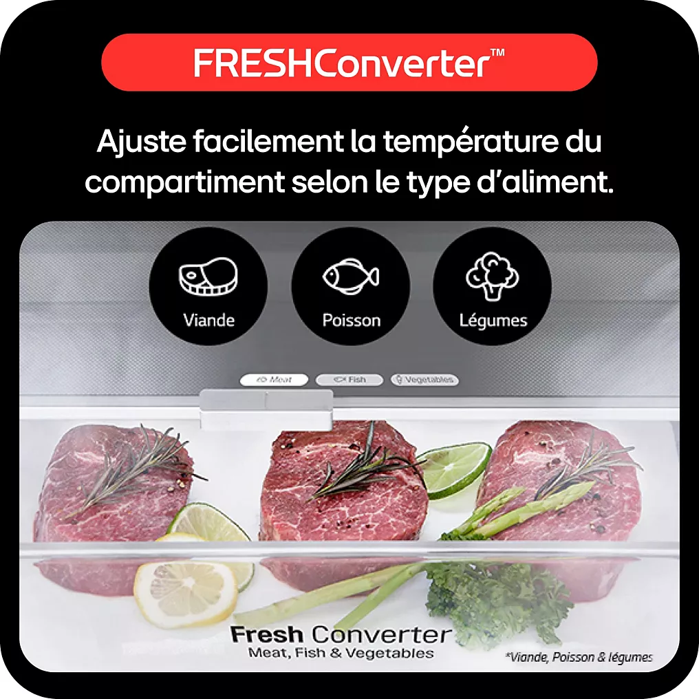 Réfrigérateur combiné LG GBV3110EPY – Image 3