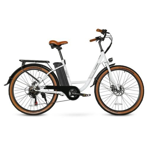 Vélo électrique SAMEBIKE TDE10Z 350W Moteur